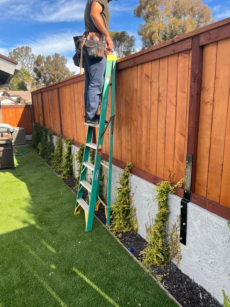 Person standing on a ladder painting a wooden fence in a backyard.