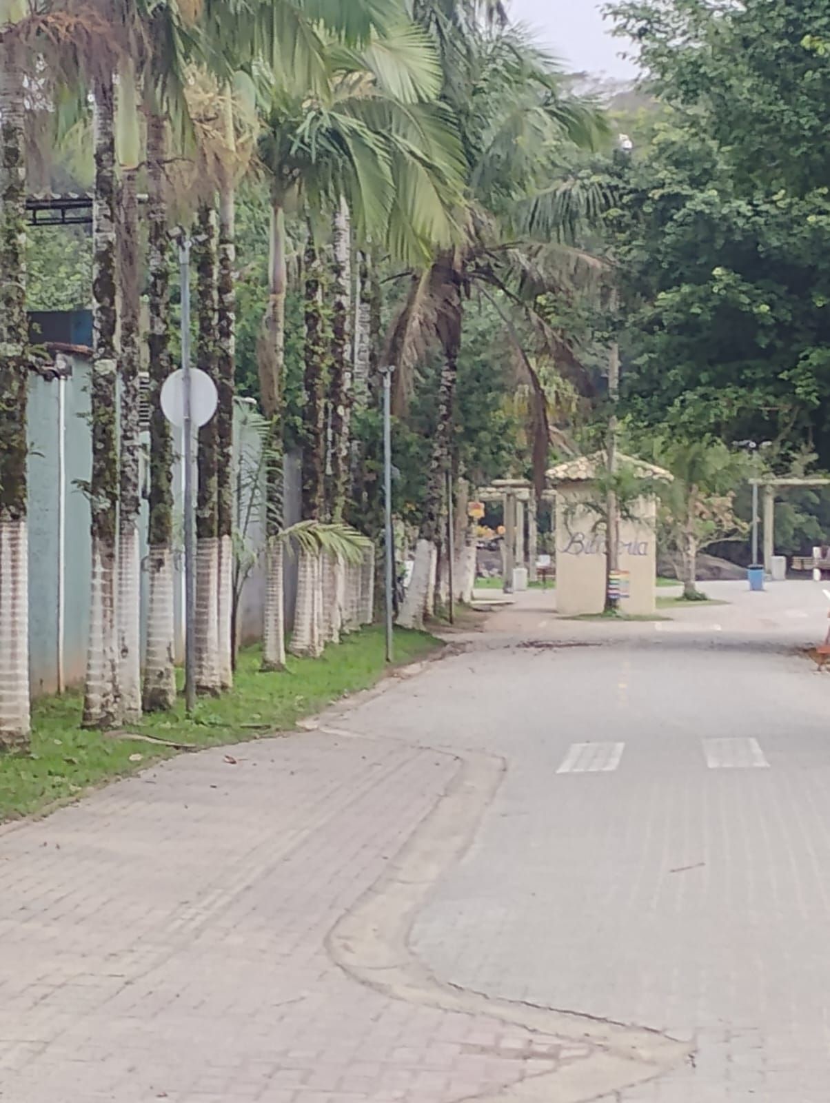 Estrada ladeada por palmeiras altas e um muro branco, levando a uma entrada fechada com postos de guarda.