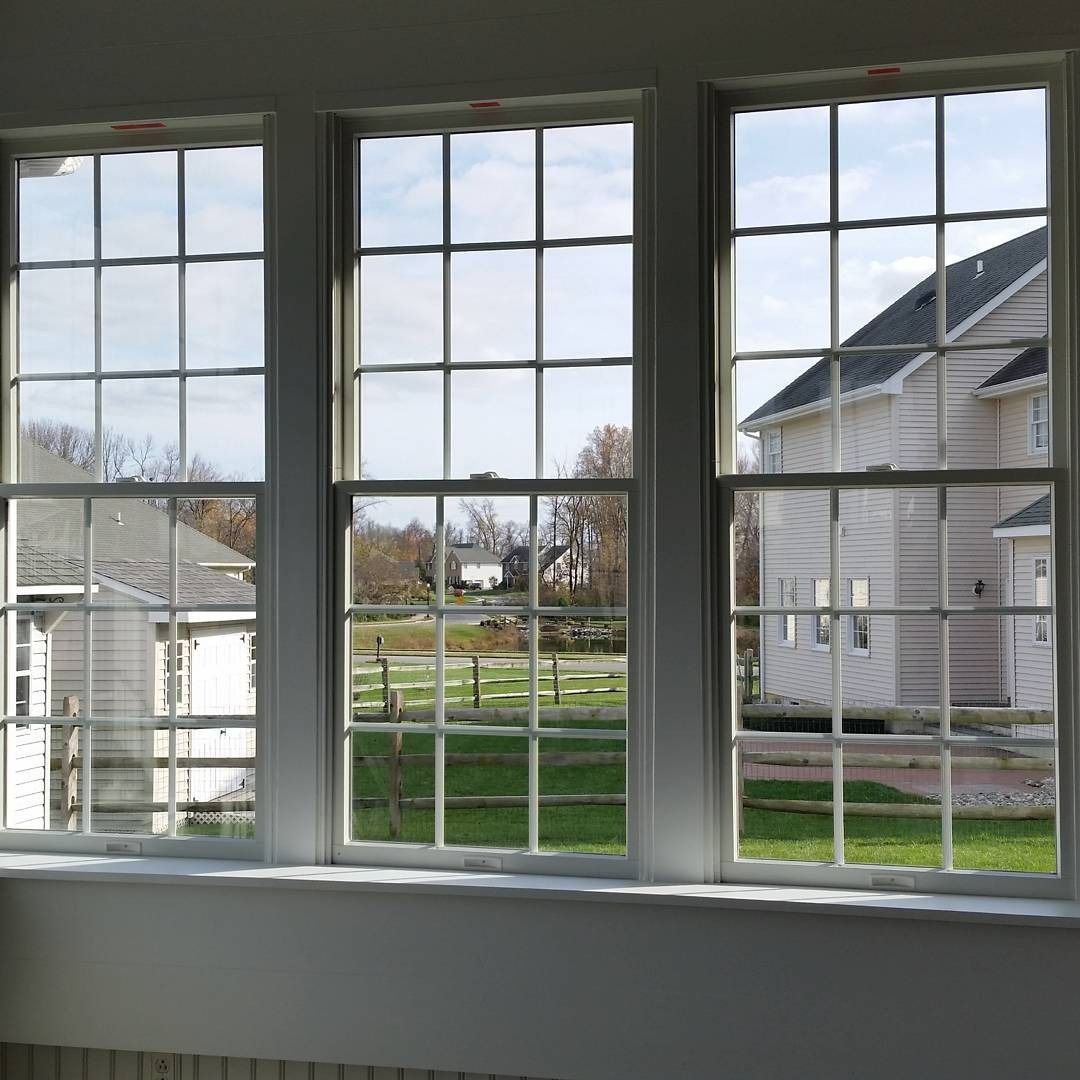 Window view of a suburban yard and houses, seen through white-framed panes with grid muntins