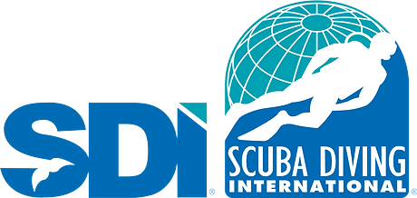 A logo for scuba diving international with a scuba diver in front of a globe