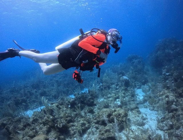 Two scuba divers are standing on a ladder in the ocean.