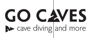A logo for padi scuba diving with a scuba diver in a globe.