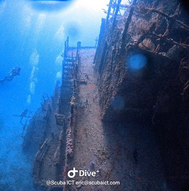 A scuba diver is swimming in the ocean.