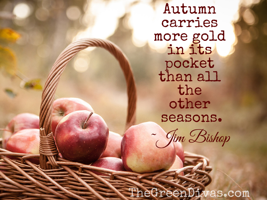 Basket of red apples with the quote