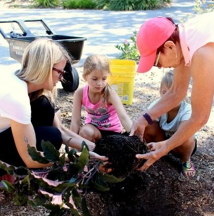A woman in a pink hat is helping a little girl plant a tree