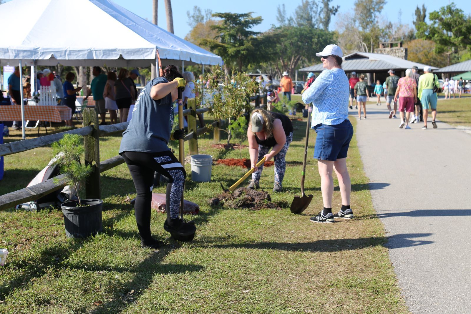 A group of people are planting trees in a park.