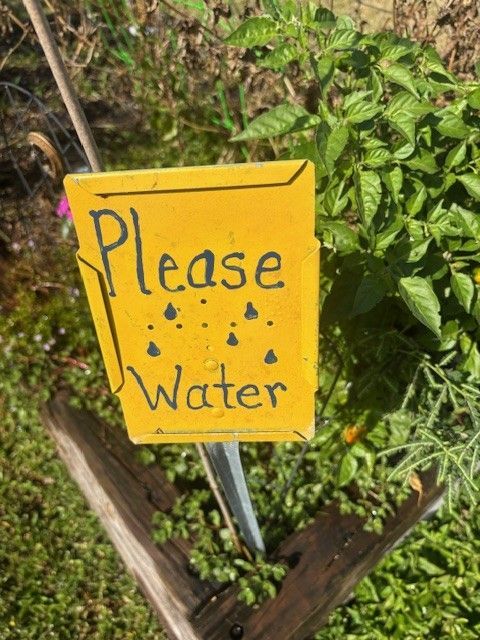 Yellow sign in garden reads