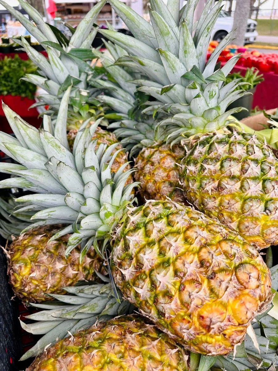 Pile of fresh pineapples at a market, with yellow and green textures.