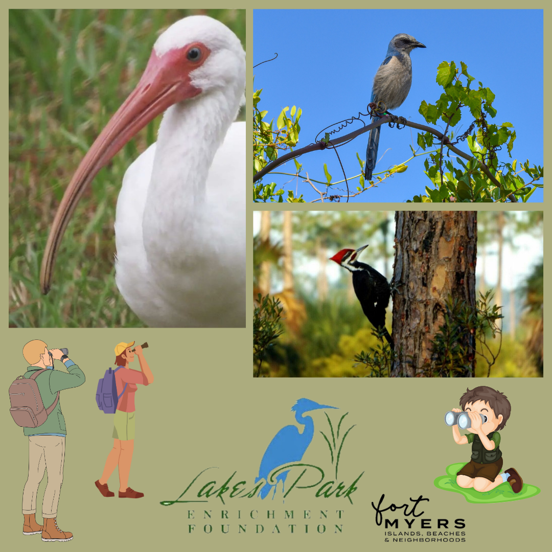 A collage of pictures of birds and people taken by the lakes park foundation