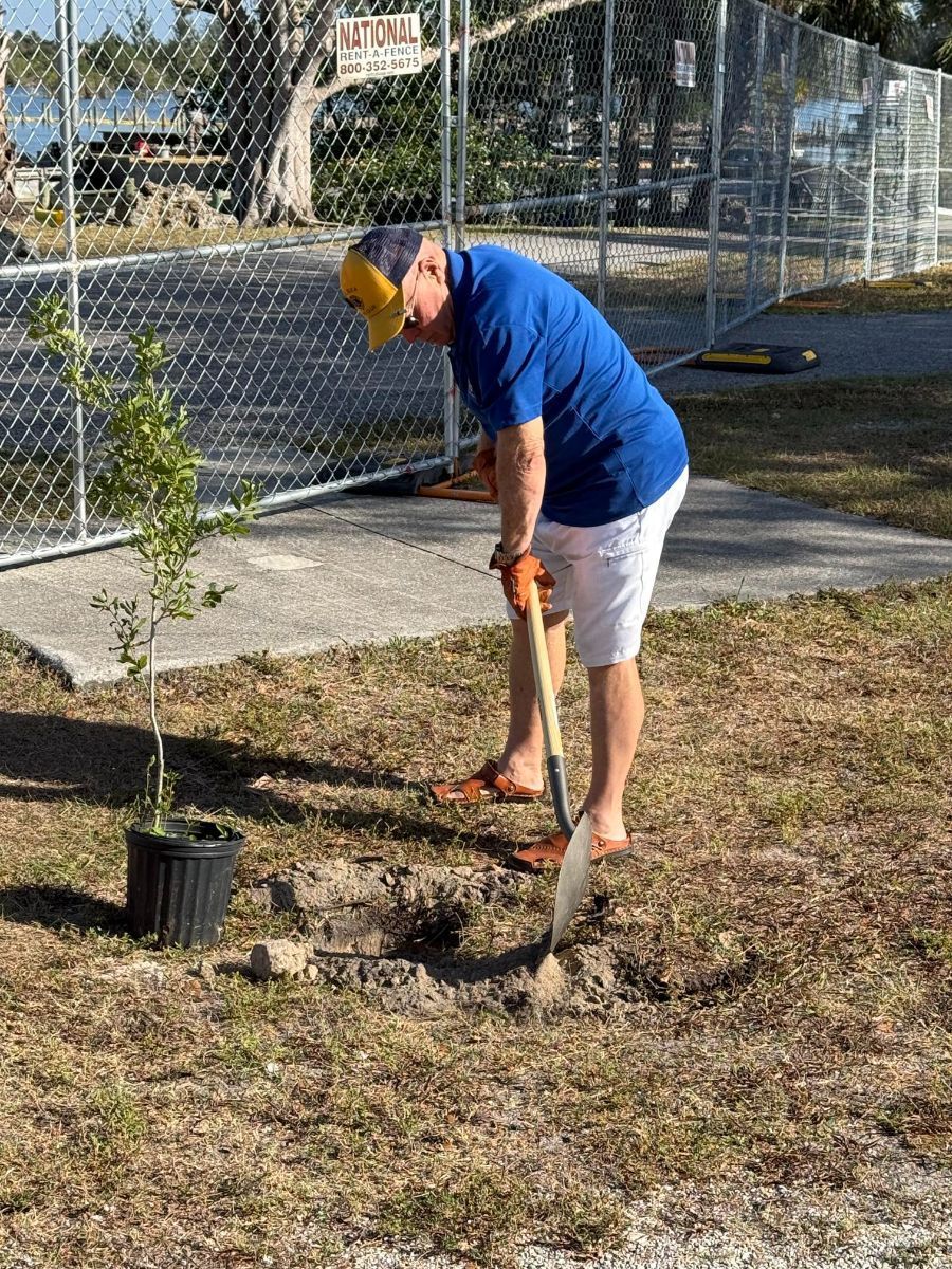 A man is digging a hole to plant a tree.
