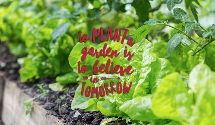 A garden with a quote that says `` to plant a garden is to believe tomorrow ''.