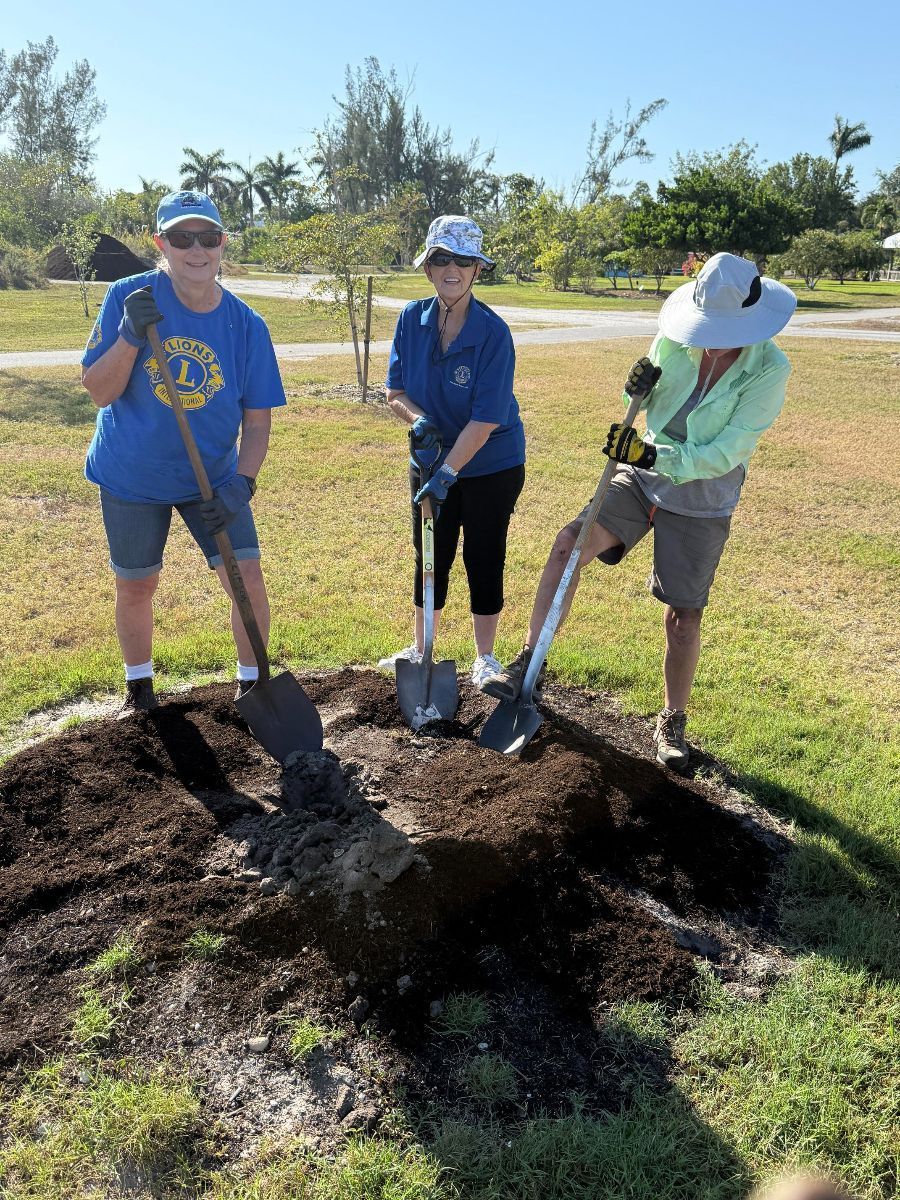 Three people are digging a hole in the ground with shovels.