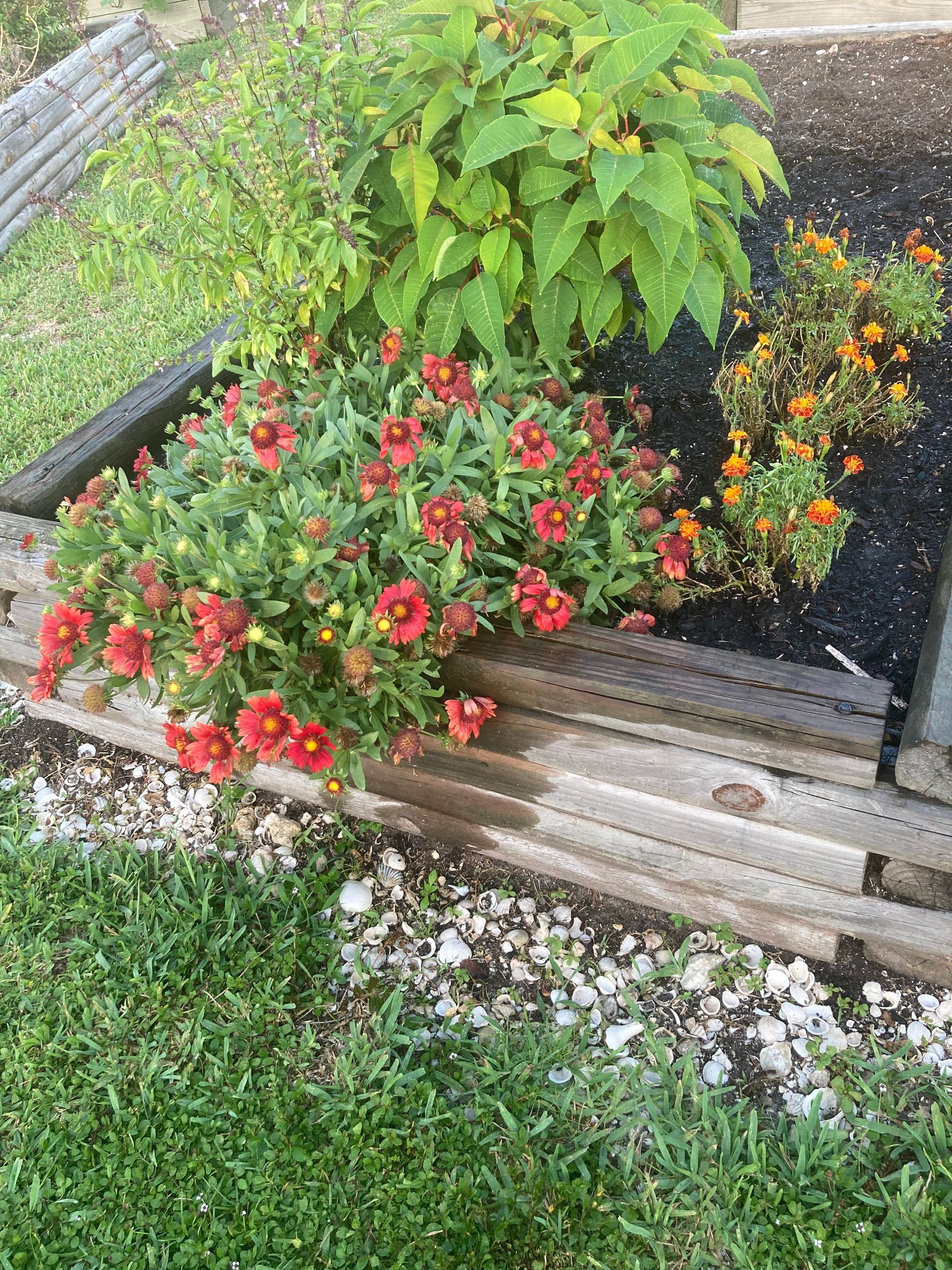 A garden with flowers and plants growing on a wooden fence.