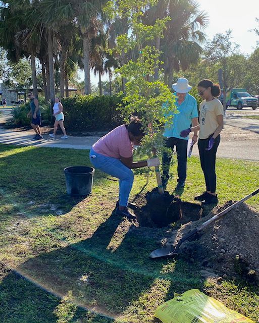 A group of people are planting trees in a park