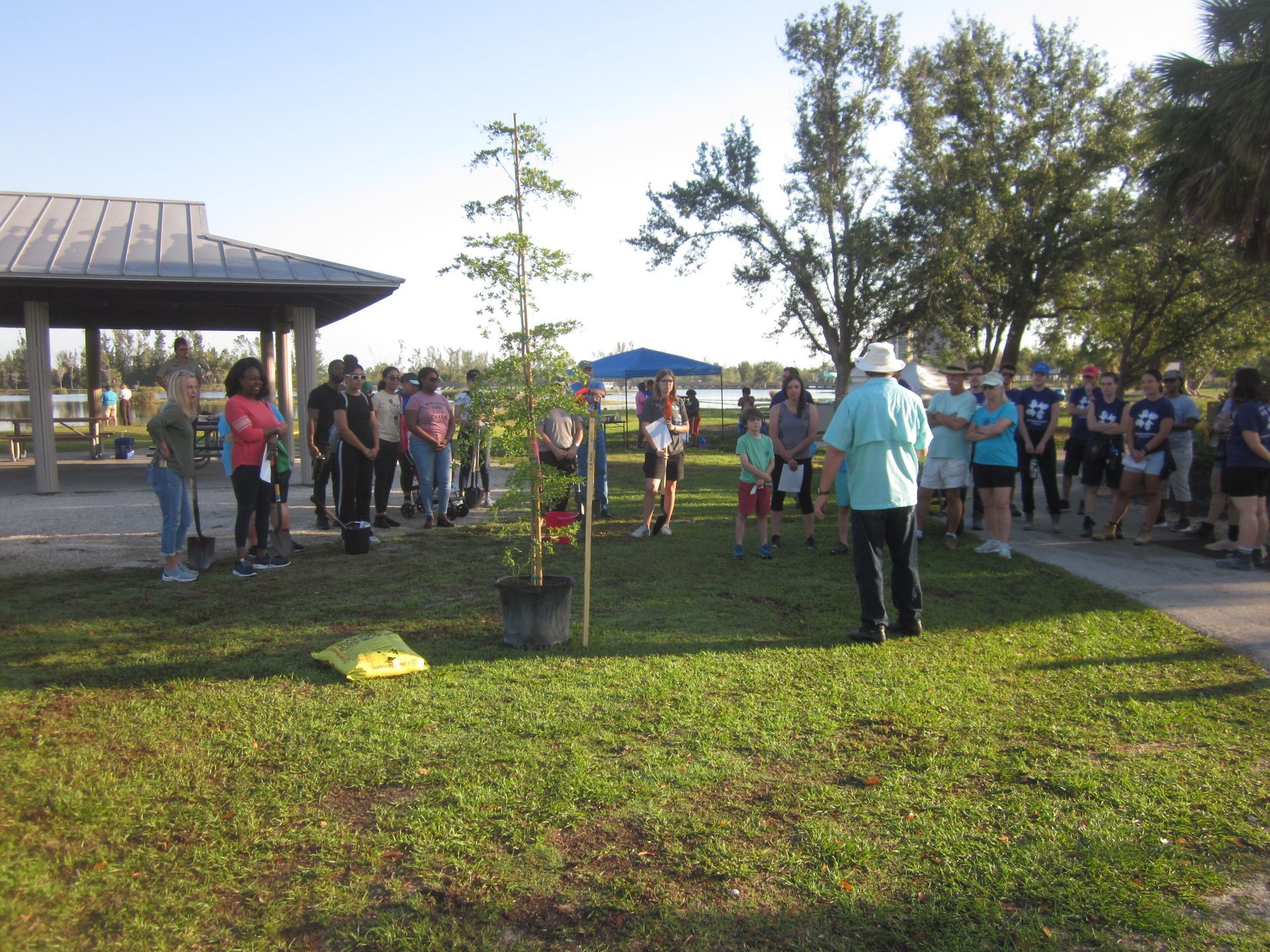 A group of people standing around a tree in a park