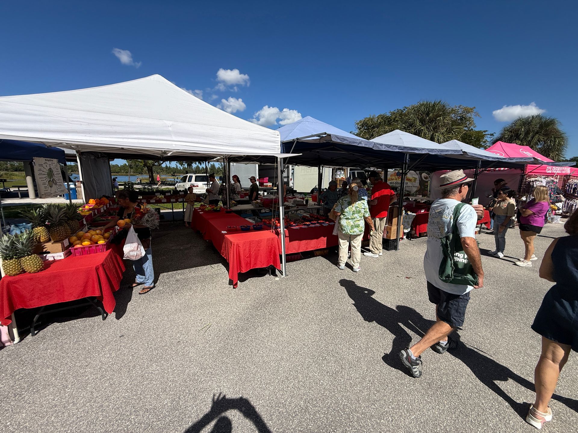 Outdoor market with white tents, red tablecloths, and shoppers under a bright blue sky