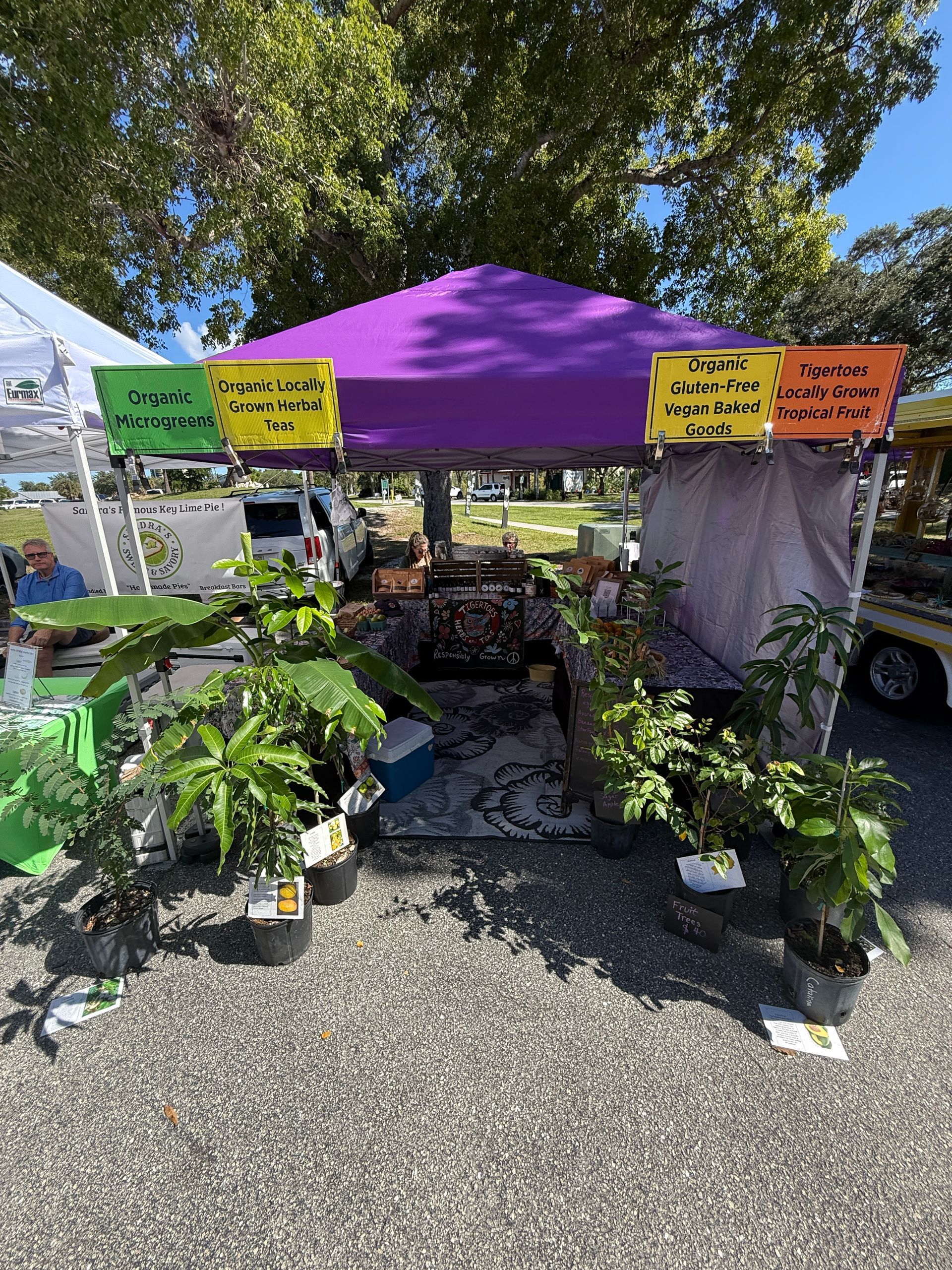 Purple-canopy plant display with potted greenery and colorful sale signs at an outdoor market