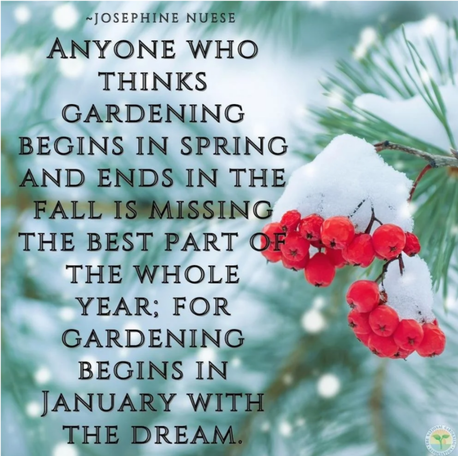 Quote about gardening in winter next to snow-covered berries.