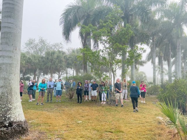 Group of people standing in a grassy area with palm trees in the background on a hazy day.