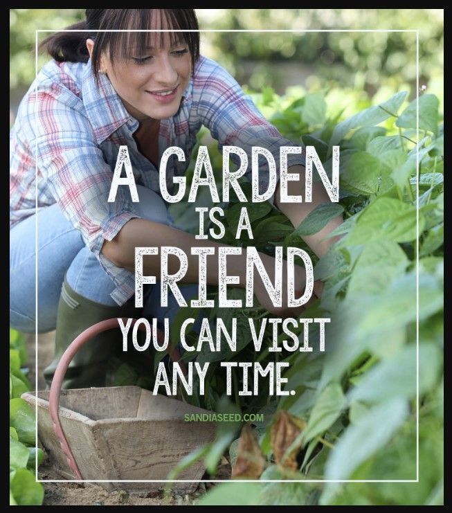 A garden is a friend you can visit any time