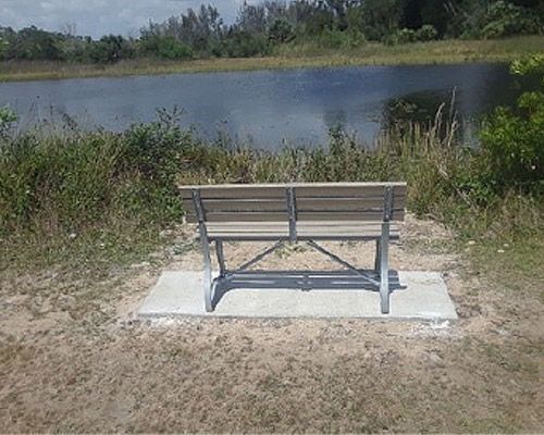 A wooden bench is sitting in front of a lake.