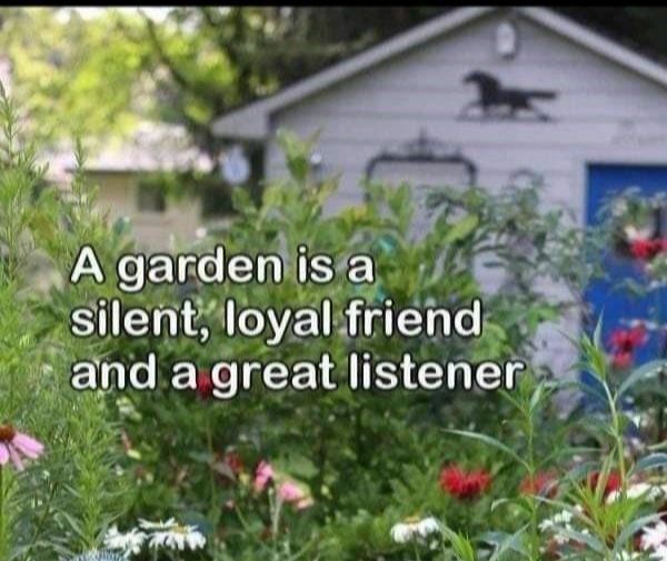 A garden is a silent loyal friend and a great listener