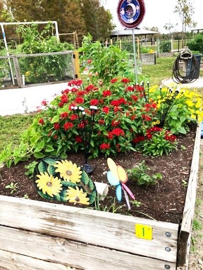 A garden with flowers and a butterfly in it