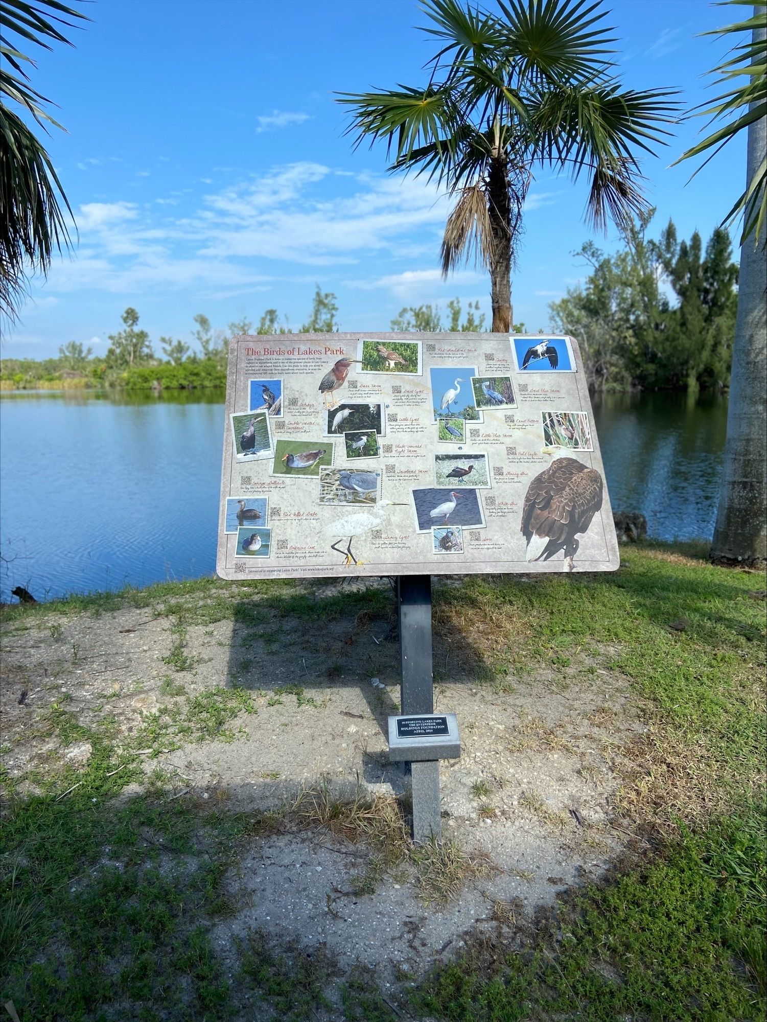 A sign is sitting in the grass next to a lake.
