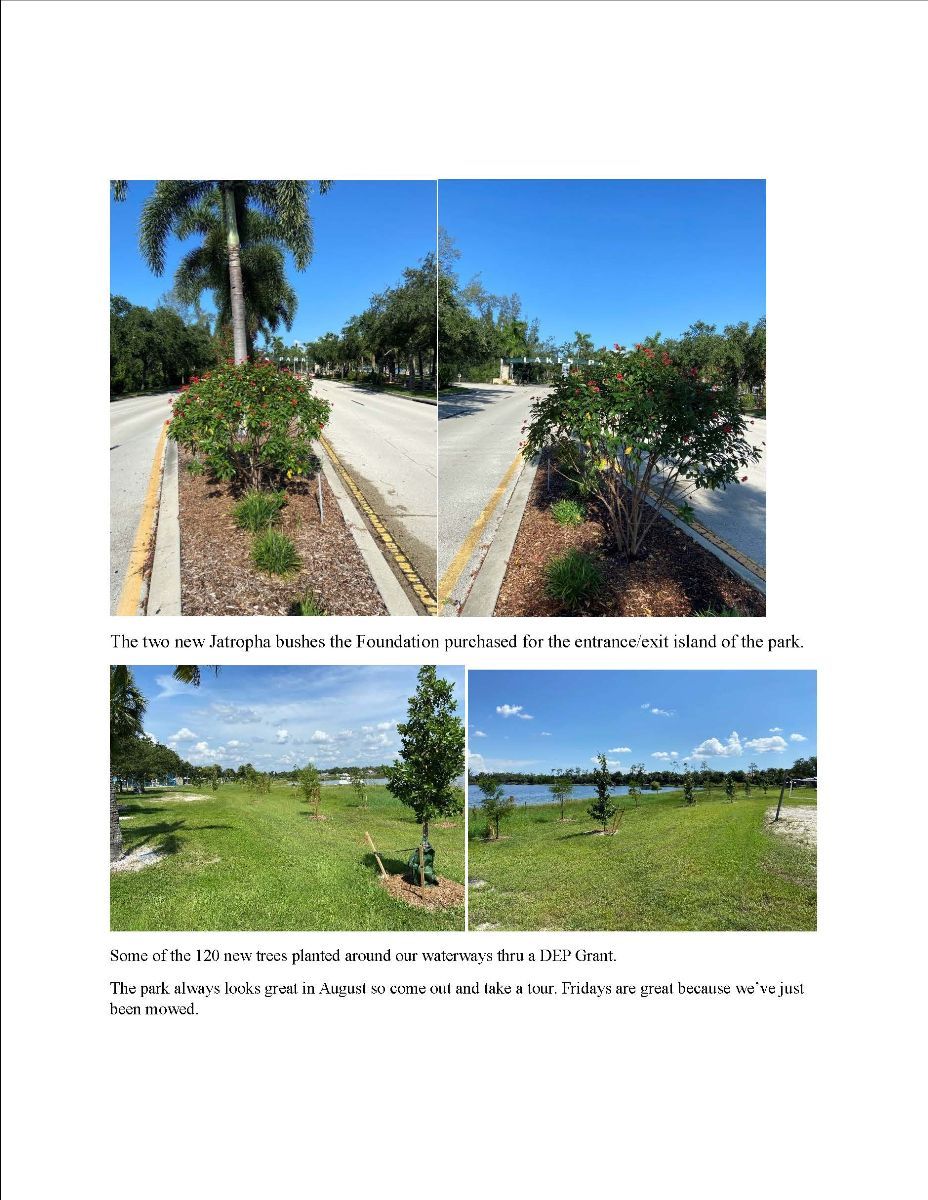 A collage of three pictures of a park with trees and a road.