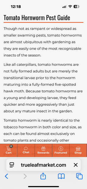 Article titled