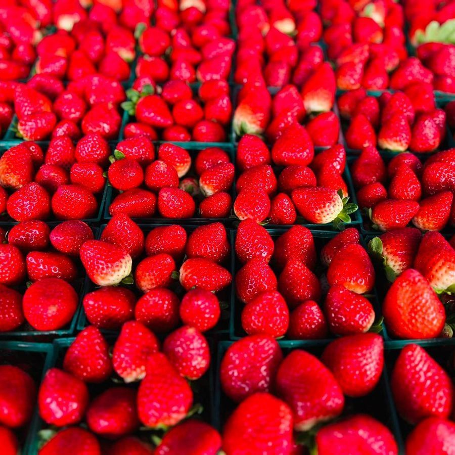 A bunch of strawberries are sitting on a table