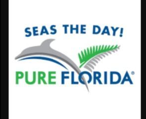 A pure florida logo with a dolphin and palm tree