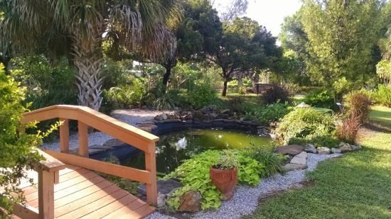 Wooden bridge over a pond in a garden with lush greenery and trees.