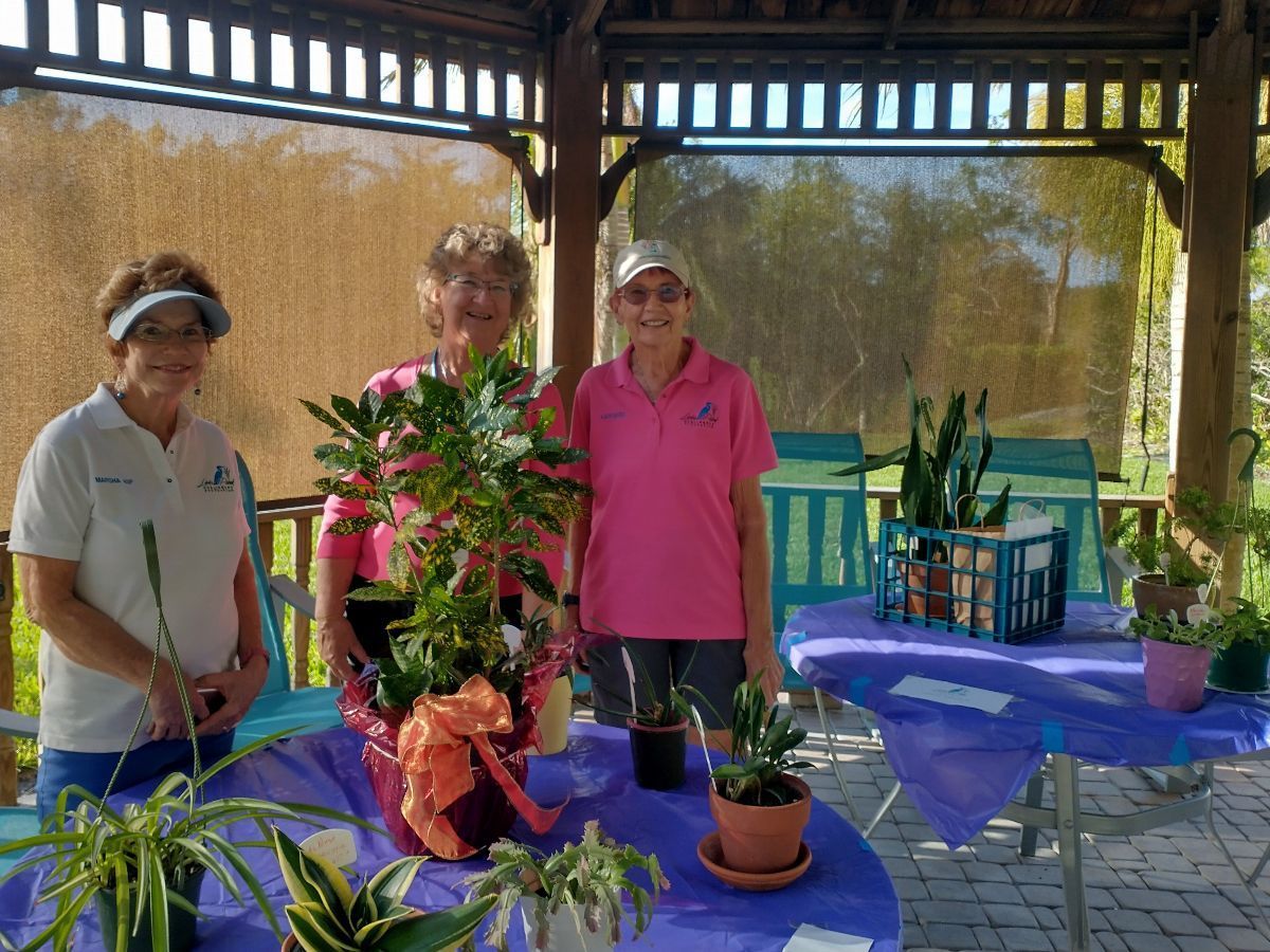 Three women are standing in front of a table with potted plants on it.