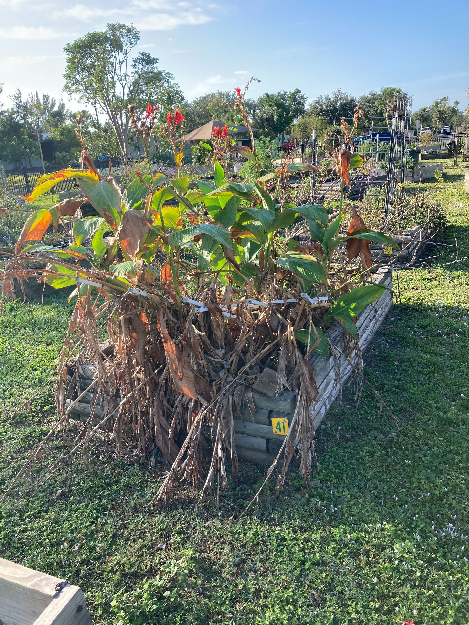 A pile of roots is sitting in the middle of a grassy field.