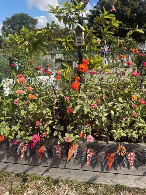 Colorful flower garden with orange and pink blooms, wooden planter box, and decorative bunting.