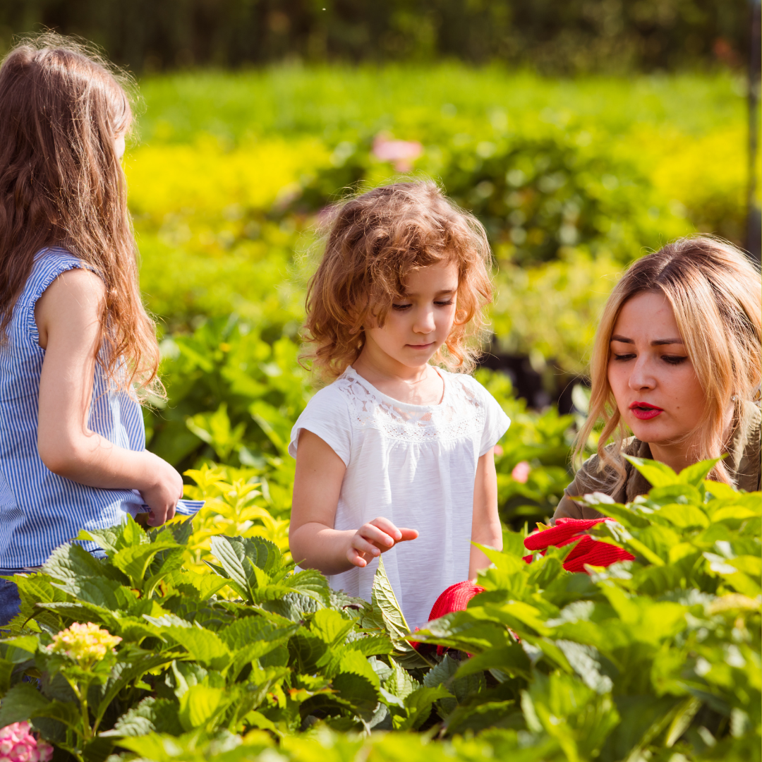 Three little girls are sitting in a field of flowers.