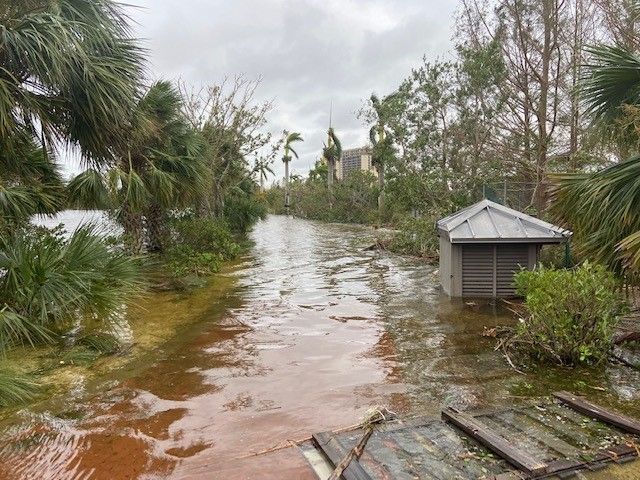 A flooded area with a shed in the middle of it.