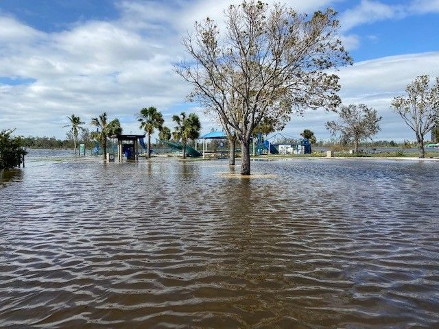 A flooded park with trees and a playground in the background