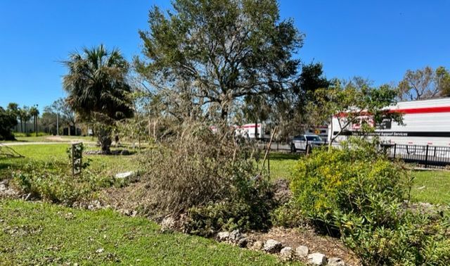 A white truck is parked in a grassy field next to a tree.