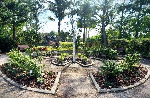 A circle of plants in a garden with trees in the background