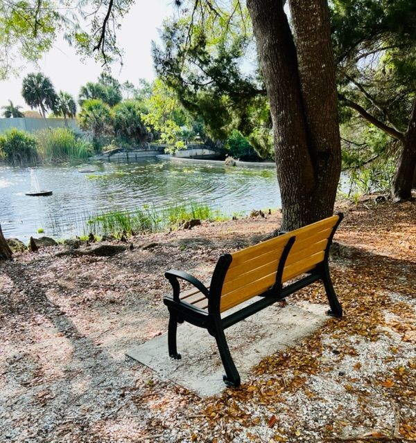 A yellow park bench sits in front of a lake