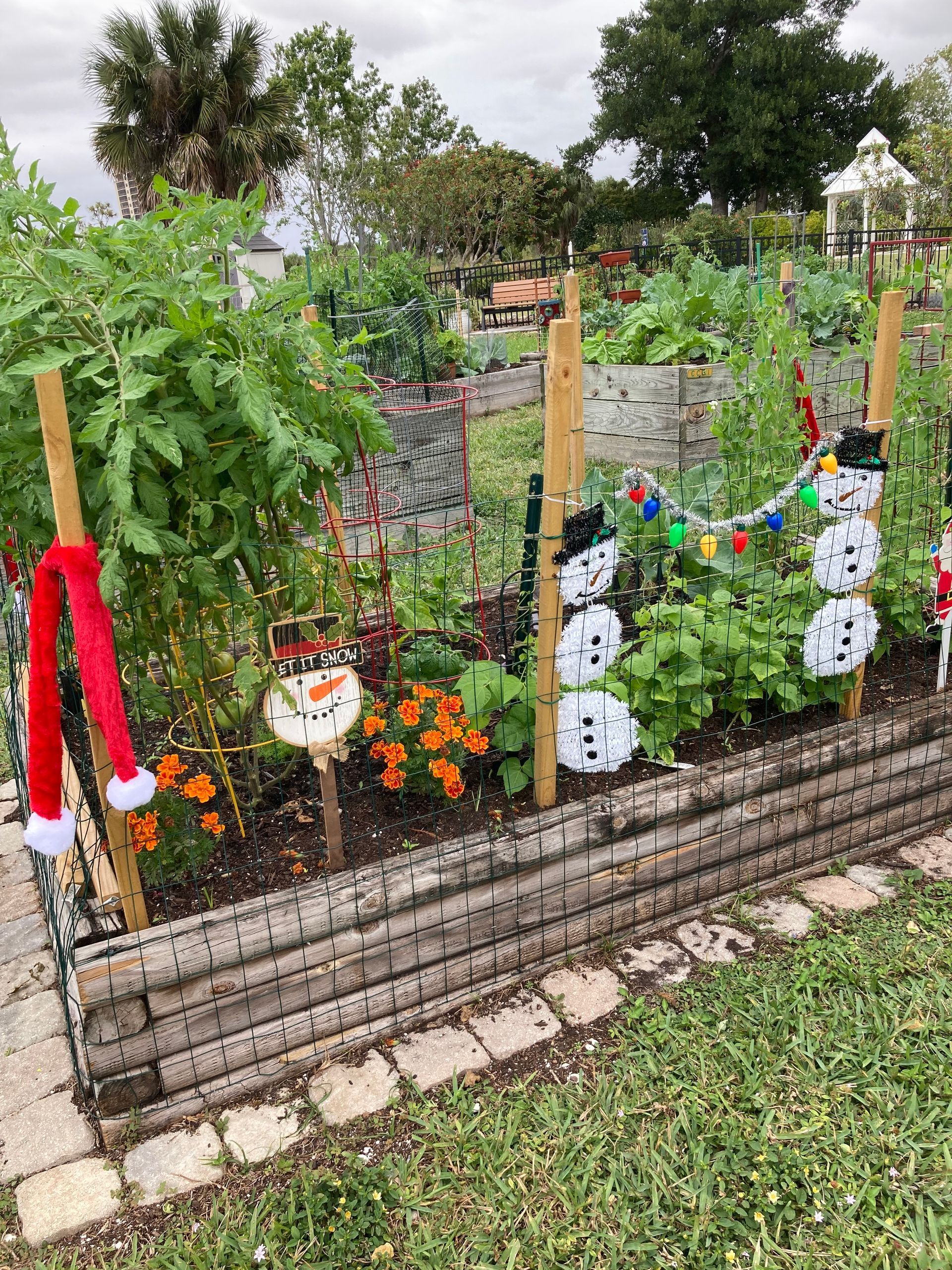 A vegetable garden decorated for christmas with snowmen and santa hats.