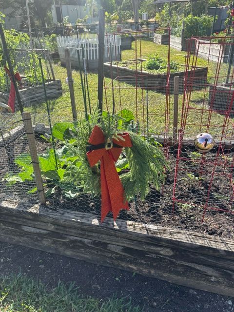 A scarecrow in a garden holding a plant