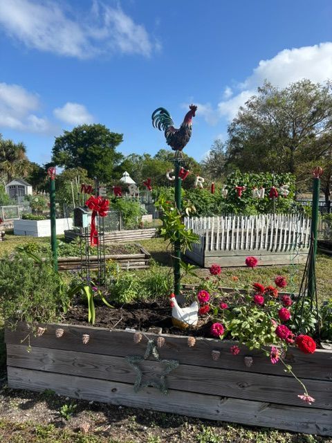 A garden with a rooster and a chicken in it