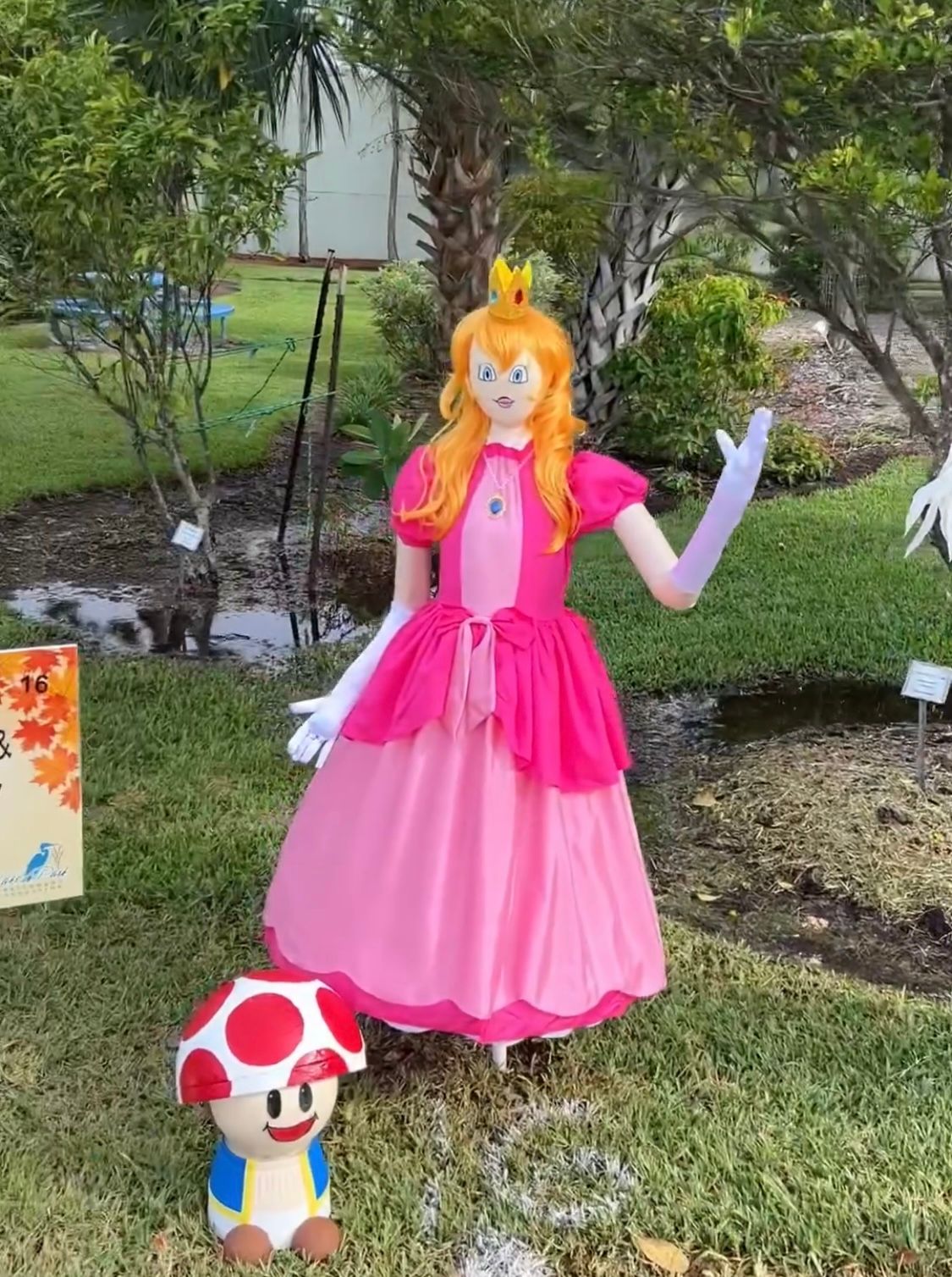 A scarecrow dressed as princess peach is standing next to a mushroom.