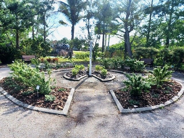 A circle of plants in a garden with trees in the background