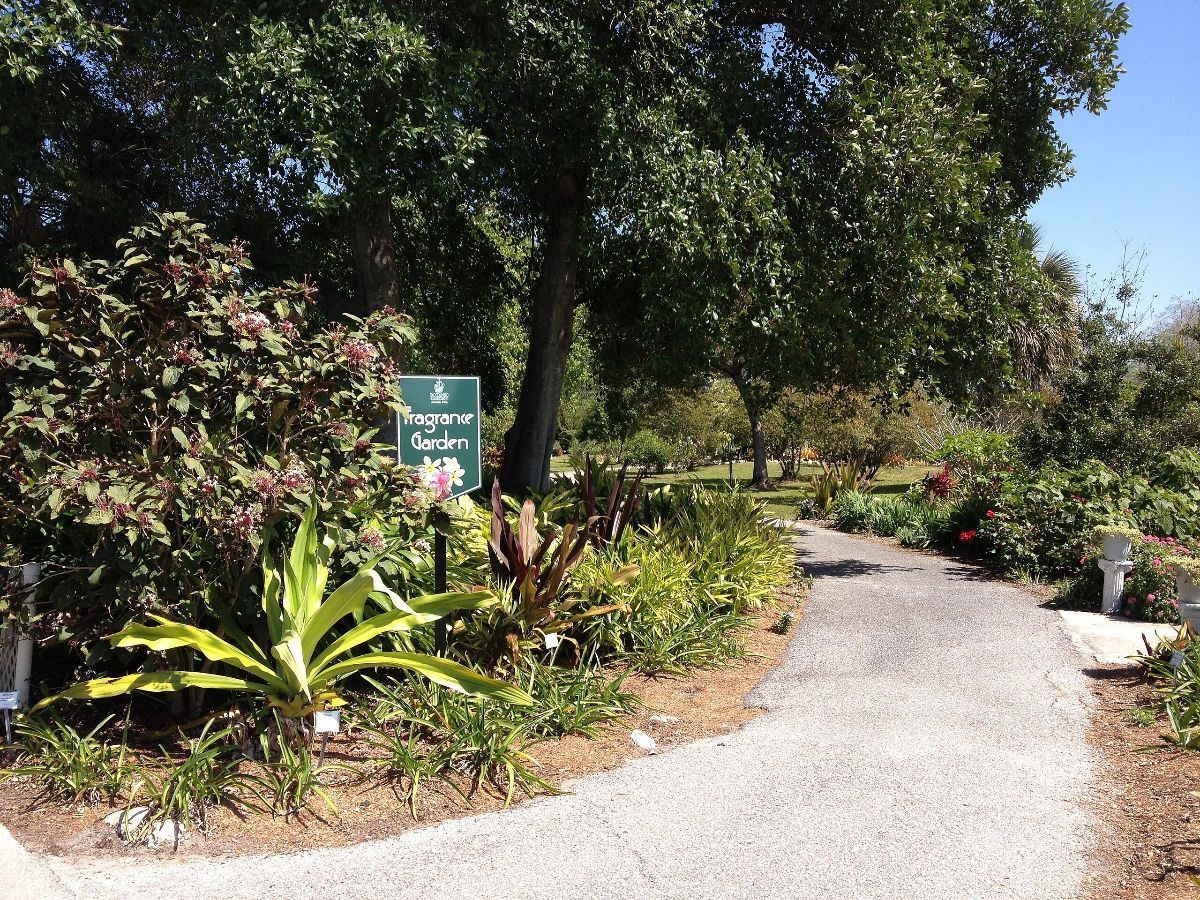 A gravel path going through a park with trees and bushes