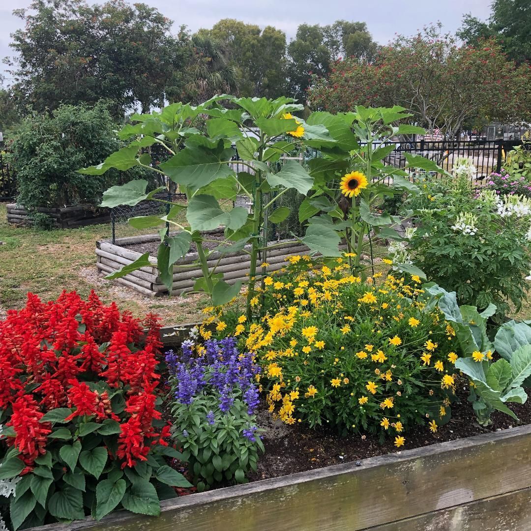 There are many different types of flowers in the garden.
