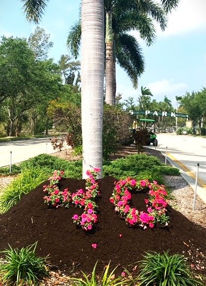 The number 50 is written in pink flowers in a garden